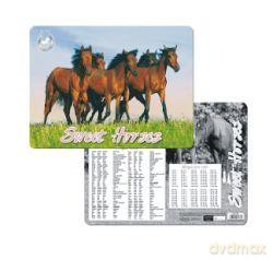 Mata Laminowana 30x40 Cm Horses [SZKOŁA]