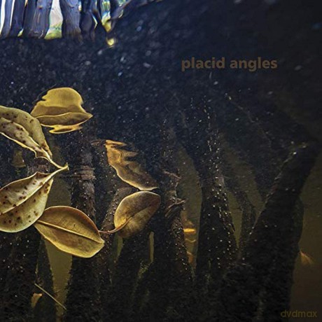 Placid Angles: Touch The Earth [Winyl]