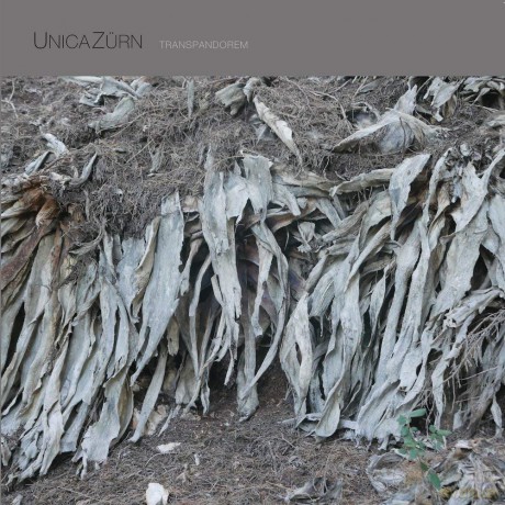 Unicazurn: Transpandorem [Winyl]