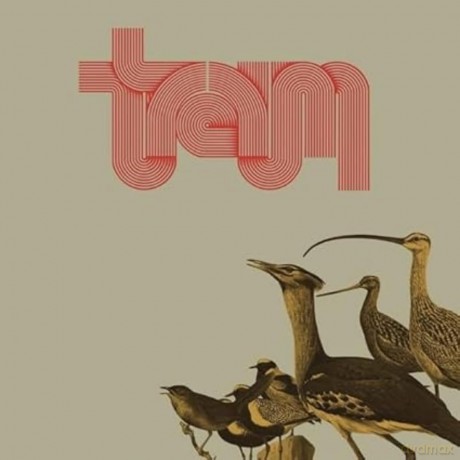 Traum: Traum [Winyl]