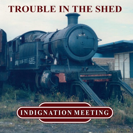 Indignation Meeting: Trouble In The Shed [Winyl]
