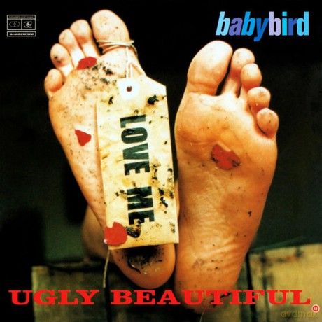Babybird: Ugly Beautiful [2xWinyl]