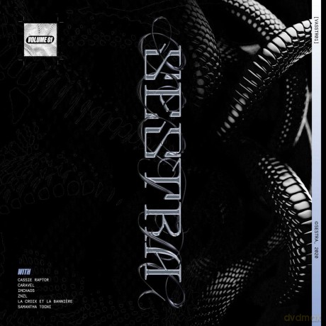 Vasstr01 - Vol. 1 (Cassie Raptor/Ca [Winyl]