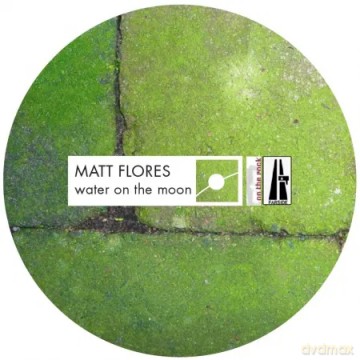 Matt Flores: Water On The Moon [Winyl]