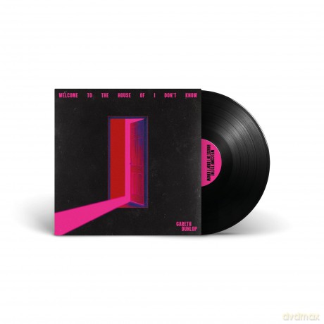 Gareth Dunlop: Welcome To The House Of I Don't Know [Winyl]