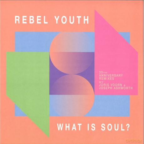 What Is Soul (30th Anniversary Remixes) [Winyl]