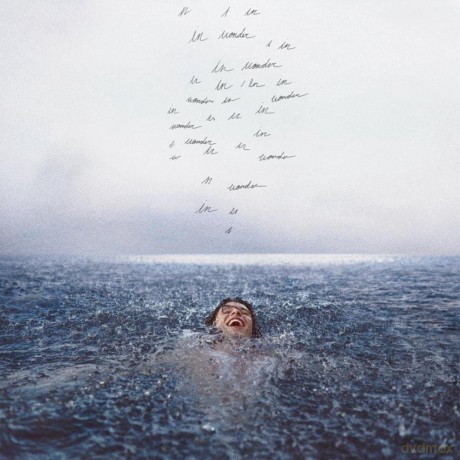 Shawn Mendes: Wonder [Winyl]