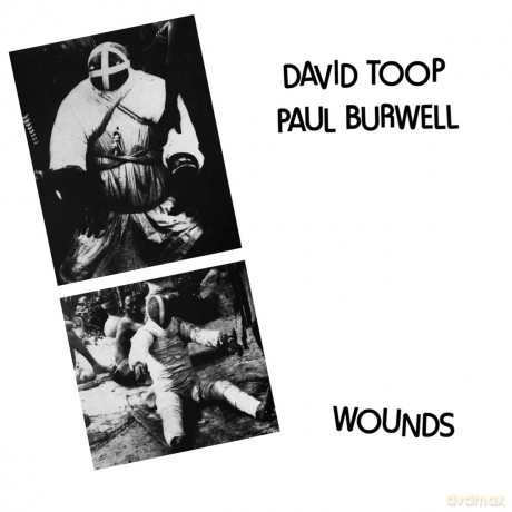 Toop, David/Burwell, Pa: Wounds [Winyl]