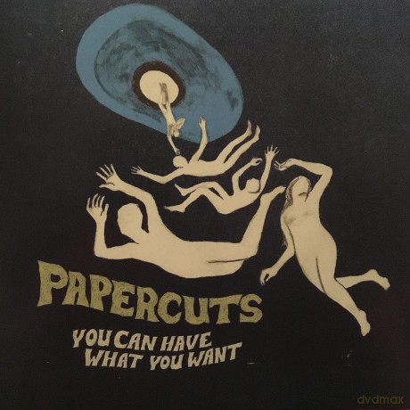 Papercuts: You Can Have What You Want [2xWinyl]