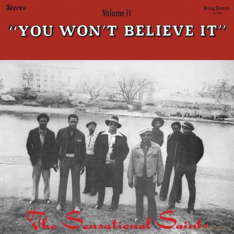 Sensational Saints: You Won't Believe It [Winyl]