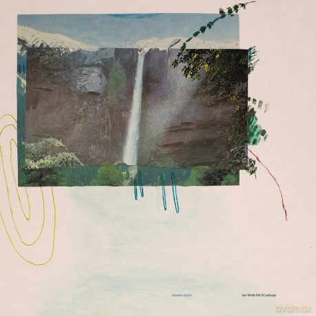 Spence, Alexandra: Your Whistle Tells Of Landscape [Winyl]