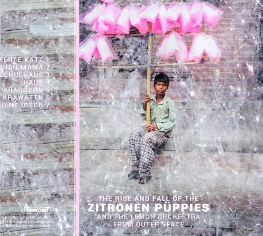 Zitronen Puppies-The Rise And Fall... [Winyl]