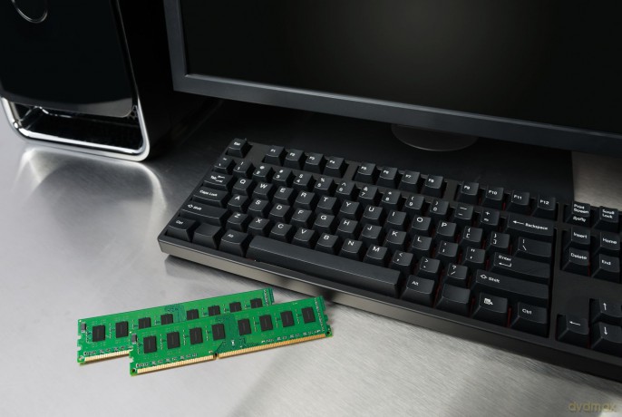 16gb Ddr5-4800mt/S Ecc Module