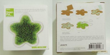 Mini Plantacja Kwiatek [SZKOŁA]