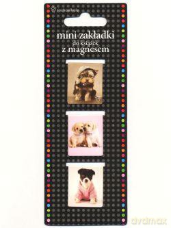 Mini Zakładki Z Magnesem Zk041 [SZKOŁA]