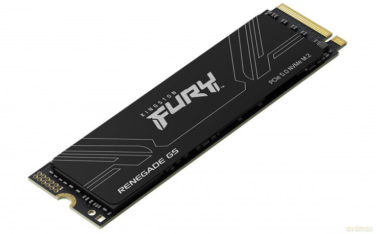 2048g Fury Renegade G5 Pcie 5.0 Ssd