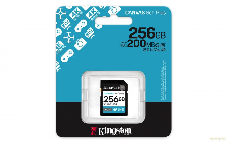 256gb Sdxc Canvas Go Plus Gen4