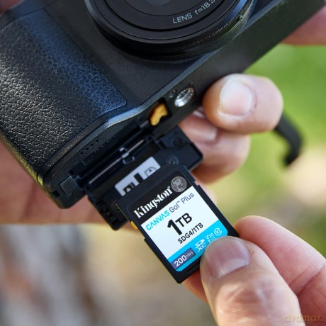 256gb Sdxc Canvas Go Plus Gen4