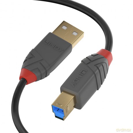 2m Usb 3.1 Gen1 A/B Anthra