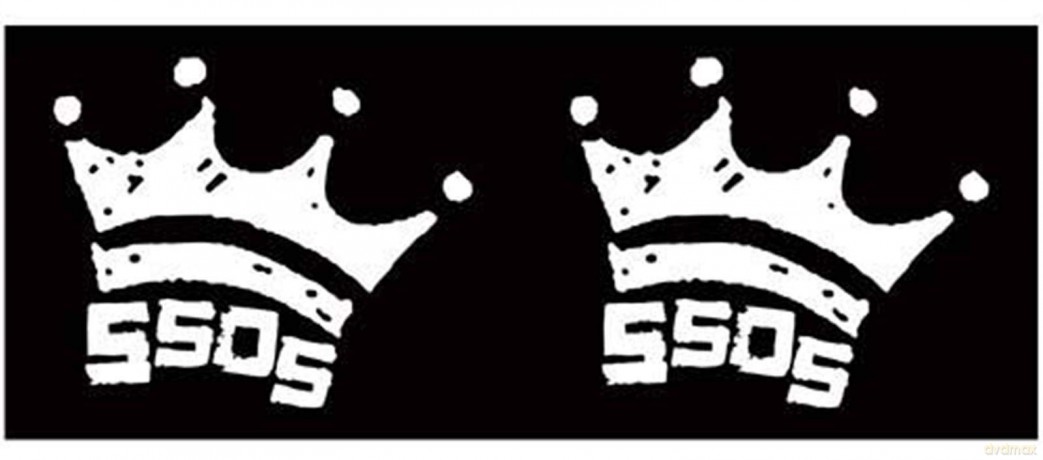 5 Seconds of Summer Boxed Premium Mug: Crown