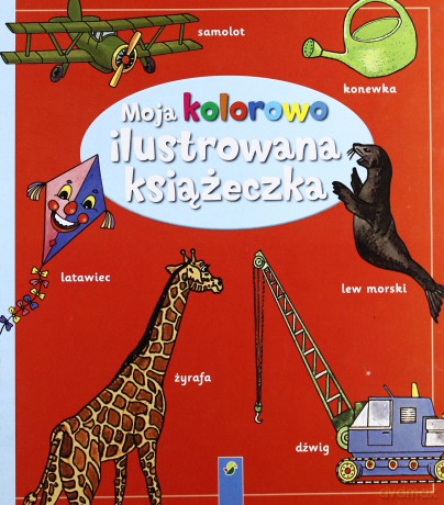 Moja Kolorowo Ilustrowana Książeczka - Praca Zbiorowa [KSIĄŻKA]