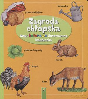 Moja Kolorowo Ilustrowana Książeczka. Zagroda Chłopska - Praca Zbiorowa [KSIĄŻKA]
