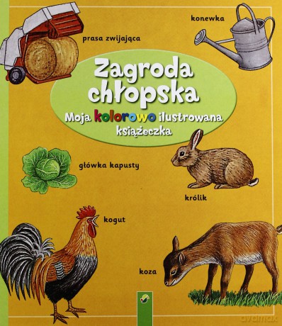 Moja Kolorowo Ilustrowana Książeczka. Zagroda Chłopska - Praca Zbiorowa [KSIĄŻKA]