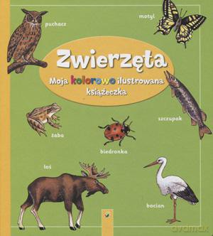 Moja Kolorowo Ilustrowana Książeczka. Zwierzęta - Praca Zbiorowa [KSIĄŻKA]
