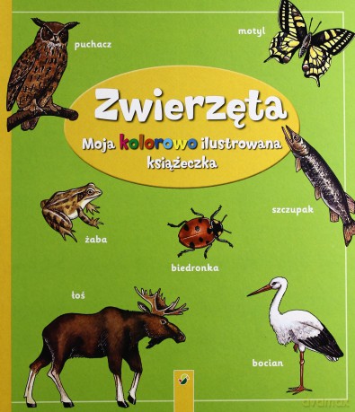Moja Kolorowo Ilustrowana Książeczka. Zwierzęta - Praca Zbiorowa [KSIĄŻKA]