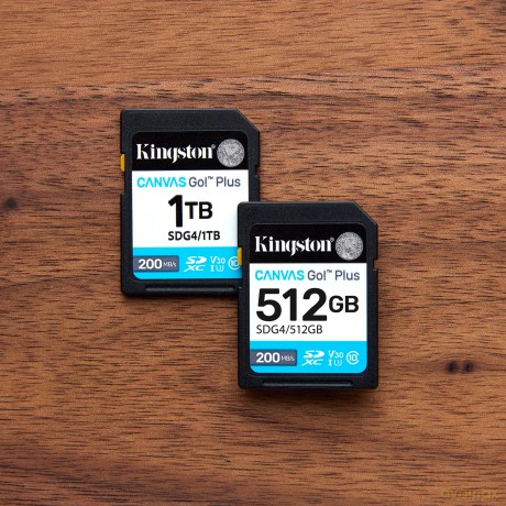 512gb Sdxc Canvas Go Plus Gen4
