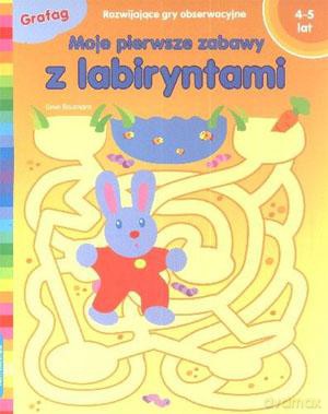 Moje Pierwsze Zabawy Z Labiryntami. Rozwijające Gry Obserwacyjne - Lieve Boumans [KSIĄŻKA]