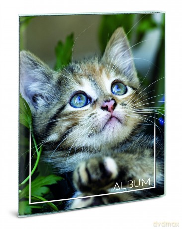 Album Foto Love Your Life Assortito