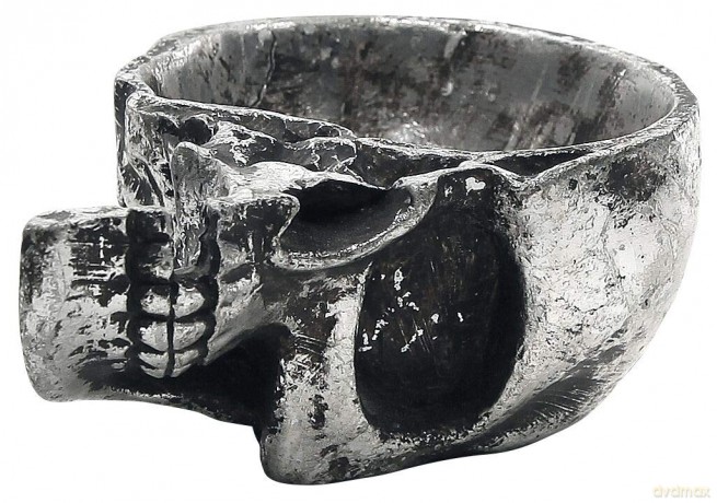Alchemy Gothic Half Skull - Trinket Dish Articolo Decorativo Standard
