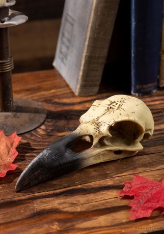 Alchemy: Corvus Alchemica (Teschio)