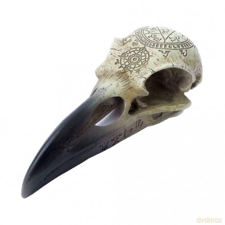 Alchemy: Omega Raven Skull