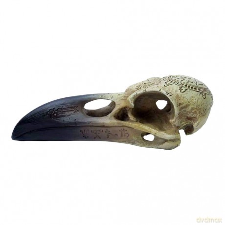 Alchemy: Omega Raven Skull
