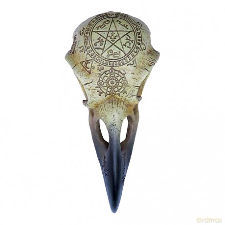 Alchemy: Omega Raven Skull