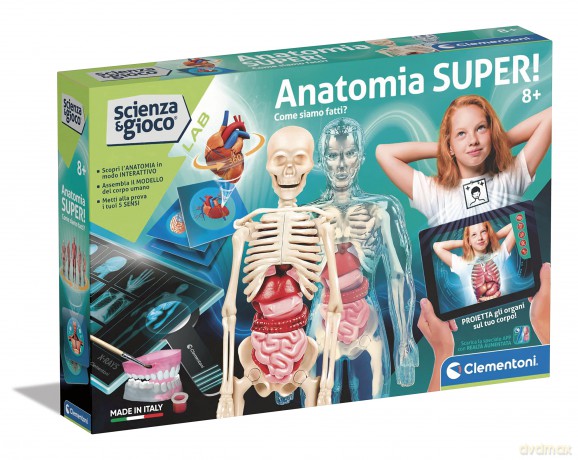 Anatomia Super