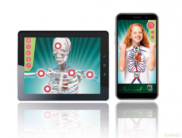Anatomia Super