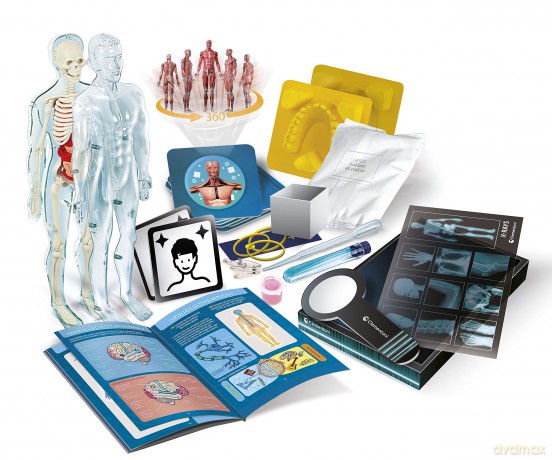 Anatomia Super