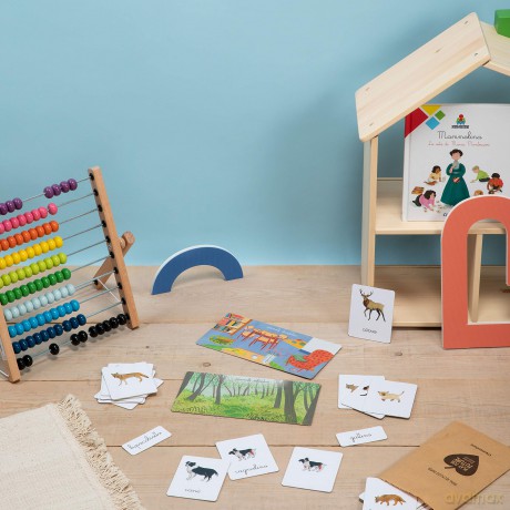 Animali E Cuccioli-Montessori
