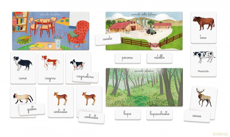 Animali E Cuccioli-Montessori