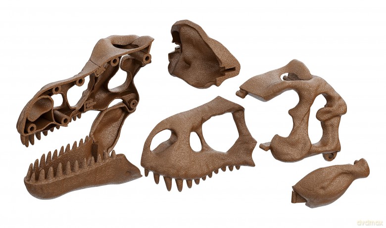 Archeogiocando - Digkit T-Rex2in1