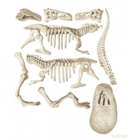 Archeogiocando - T-Rex Triceratopo