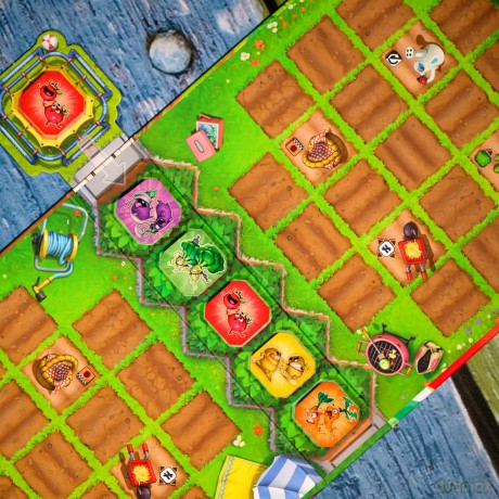 Asmodee: Garden Rush
