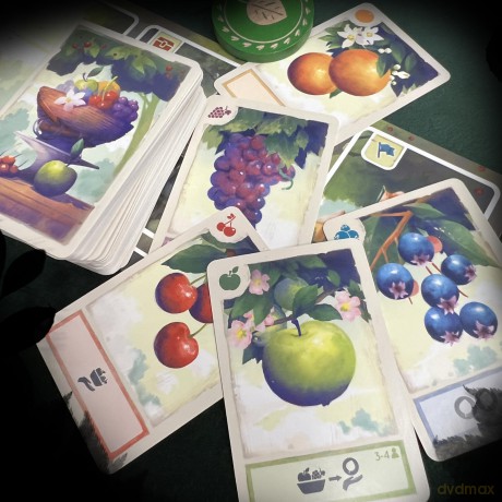 Asmodee: Tree Society