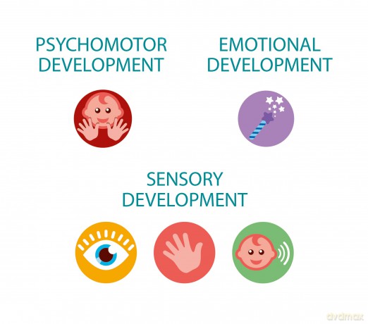 Baby Clementoni Round & Round Animals