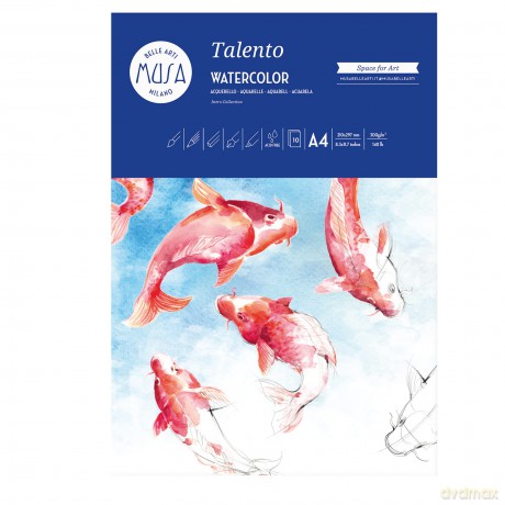 Blocchi Disegno Talento 300g