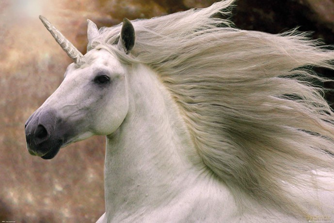 Bob Langrish - Unicorn (Poster Maxi 61x91,5 Cm)