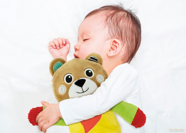 Bob The Bear